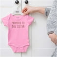 thumbnail image 5 of Promoted Big Sister Expecting Sibling Bodysuit Jumper Girls Infant Baby Brisco Brands 6M, 5 of 6