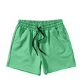 thumbnail image 4 of Havenre Men's Swim Trunk Swimwear Bathing Suit Swimsuit Board Beach Sport Short Lightweight Casual Drawstring Elasti Waist Athletic Shorts Green M, 4 of 4