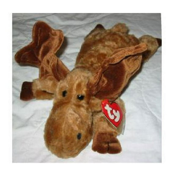 TY Classic Plush - MORTIMER the Moose (15 inch)