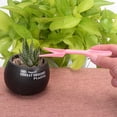 thumbnail image 2 of Yuarrent 5 unids/set Mini juego de herramientas de mano de jardinería plantas suculentas trasplante sembradora en miniatura jardín vivero Jardín y Patio, 2 of 6
