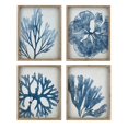 thumbnail image 1 of Imax A0419246 Ionian Wall Decor, Blue - Assorted 4, 1 of 1