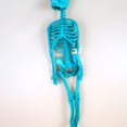 thumbnail image 4 of 8pcs Scared Funny Skeleton Model Plastic Hanging Skeleton Ghost House Props Party Supplies (Mixed Color), 4 of 9