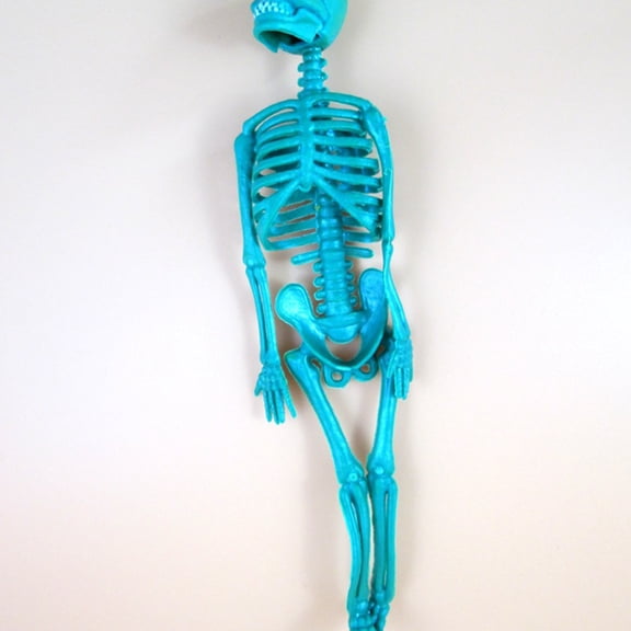 ETHZZLE Plastic Skeleton Lightweight Party Decor Assorted Color 8Pcs