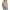 Beige, variant on Gubotare Women's Sweater Vests Summer Sweaters for Women 2024 V Neck Cap Sleeve Tops Sleeveless Spring Clothes Sweater Vest (White,XL)