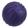thumbnail image 2 of 3PK Large Interactive Play Durafoam Dog Puppy Ball Floating Toy-Assorted Colour, 2 of 7