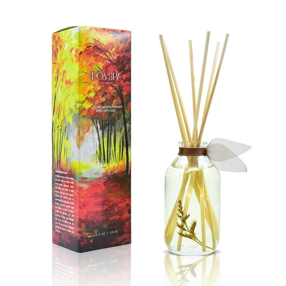 LOVSPA Ensemble Diffuseur d'Huile de Roseau en Cachemire avec Mimosa Ambré, Nectar d'Abricot Vanille, Fabriqué aux États-Unis
