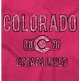 thumbnail image 2 of Colorado Stenciled C Flag Distressed Unisex Plus Fleece Graphic Hoodie Brisco Brands 2X, 2 of 4