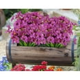 thumbnail image 5 of 6/12pcs Artificial Silk Flowers UV Resistant Fake Violet Flowers Outdoor No Fade Faux Plastic Greenery Shrubs for Garden Porch Window Box Decorating, 5 of 7