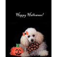 thumbnail image 3 of CafePress - Halloween Poodle Mugs - 20 Oz White Ceramic Mega Mug, 3 of 5