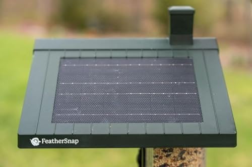 Feathersnap Smart Bird Feeder with AI Identification & HD Camera  Solar-Powered Wi-Fi Feeder Sends Photos & Videos to Your Phone  Includes Pole Mount, Bird Seed, 32GB SD Card, & Cleaning Cloth
