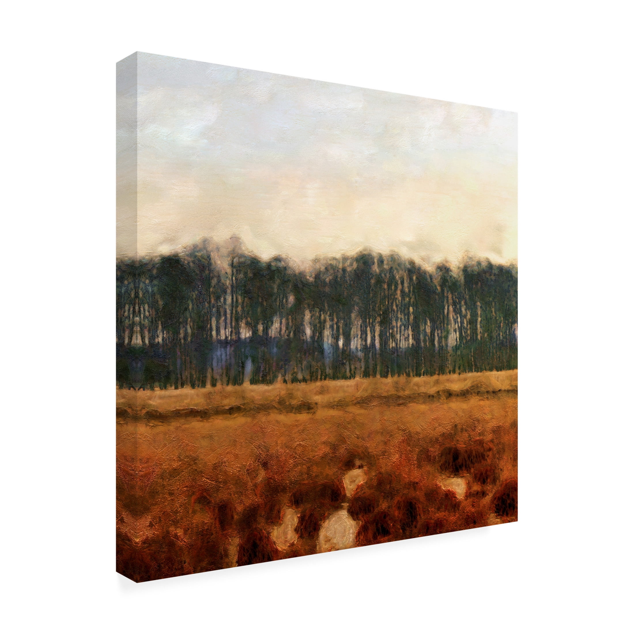 Trademark Fine Art Alonzo Saunders Tranquil Gathering I Canvas Wall Art