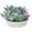 Artificial Glass - Pot, variant on Premium Assorted Artificial Succulent Collection - Large Real Touch Artificial Cactus, Aloe Vera & Succulent Plants Artificial with Pots for Home Office Indoor (Artificial Glass - Pot)
