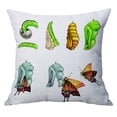 thumbnail image 2 of GROWTH TANK Standard Velvet Linen Animal Pattern Pillowcase Pillowslip Home Decoration Butterfly 50x50cm, 2 of 9