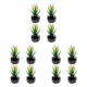 thumbnail image 4 of Naiovety 4x Bonsái de bajo mantenimiento, plantas suculentas artificiales ecológicas, fáciles de limpiar y duraderas, aloe barbados Type1 NO1, 4 of 6