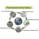thumbnail image 4 of 100 Pack 30l Organic Trash Bags, Tear Resistant, Food Waste Bags, 100% Compostable And Biodegradable, 4 of 4