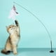 thumbnail image 4 of Gato Teaser Toys PEABLE INTERACTIVA ADSORBABLE para LA Zulema Juguetes para gatos interactivos, 4 of 7
