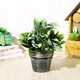thumbnail image 3 of Gwong Decoración hogareña 1pc Artificial Grass Plant Greenery Bonsai Home Office Garden Muebles Decoración Gwong 21031701, 3 of 7