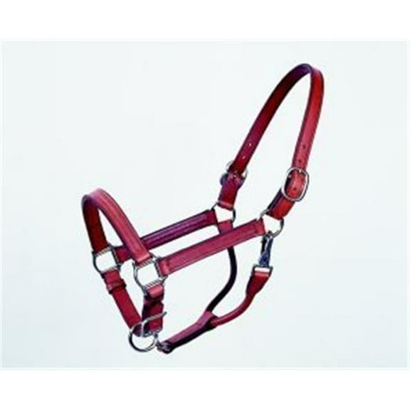 Beiler's Manufacturing-Track Halter- Brown Horse