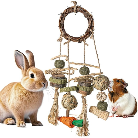 WLGJL Bunny Chew Toy, Rabbits Cage Hanging Chew Toys and Treats Rattan Ring with Snacks for Guinea Pigs Chinchillas Hamsters Rats and Other Small Pets Teeth Grinding
