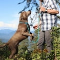 thumbnail image 4 of WePet Dog Training Slip Leash, Dog Slip Lead, Puppy Obedience Recall Training Lead, for Medium Large Dogs, 6 ft, Blue, 4 of 6