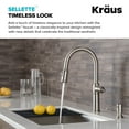 thumbnail image 4 of Sellette Traditional Single Handle Pull-Down Kitchen Faucet and Deck Plate in Spot Free Stainless Steel, 4 of 12