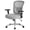 Gray, variant on EDX Ergonomic Office Desk Chair 500lbs, Heavy Duty Computer Chair with Adjustable Armrest, Computer Executive Desk Chair , Lumbar Support, Black