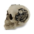 thumbnail image 2 of Macabre Steampunk Skull Gear Head Sculptural Statue, 2 of 3