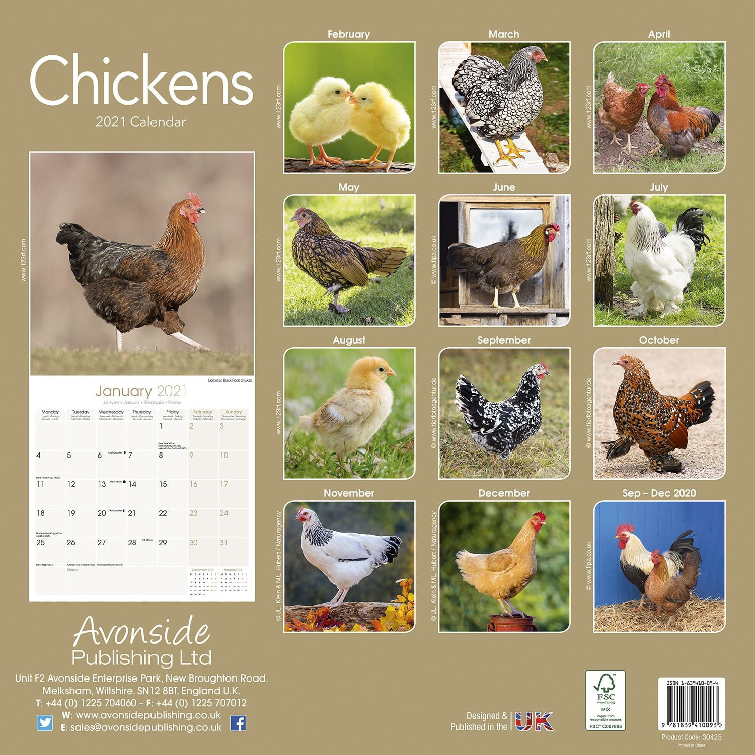 Chickens Wall Calendar 2021 by Avonside