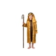 thumbnail image 3 of Disfraz Dress Up America Saint para niños, color marrón y dorado, 3 of 4