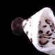 thumbnail image 4 of White with Chocolate Leopard Hooded Jumpsuit for Pet Dog -XXL Zulema none, 4 of 8