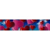 Country Brook Design® 1/2 inch Floating Hearts Polyester Webbing Closeout, 5 Yards