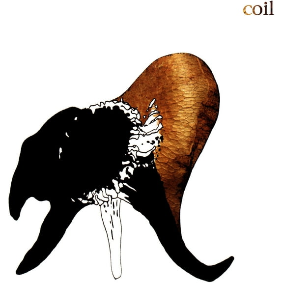 Coil - Black Antlers - Music & Performance - CD