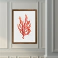 thumbnail image 3 of Coral Kelp I - Barnwood Framed - 23 x 31 - Maple, 3 of 4