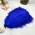 thumbnail image 1 of 100pcs Ostrich Feather Ornament 15-20cm DIY Natural Home Wedding Party Decoration Color:sapphire, 1 of 8