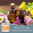 thumbnail image 2 of Clear Air 15 oz (2-Pack) Odor Absorber Gel - Effective & Fast Odor Removal - Citrus Grove Scent, 2 of 8