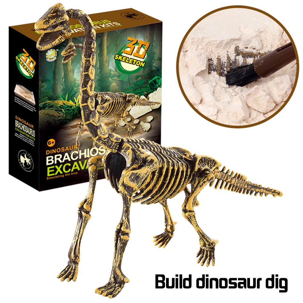 dinosaur toy skeleton fossil excavation