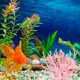 thumbnail image 3 of Adorno de decoración para paisajismo del tanque de peces, Coral de simulación de resina, 1 ud., 3 of 7