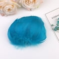 thumbnail image 2 of Tyeign Feathers, 100Pcs Diy Big Floating Plumage Floating Hair Craft Decoration Wedding Plumage Office Supplies Set, Office Supplies Clearance Sale, Stationery Stickers, Cute Stationery Supplies, 2 of 2