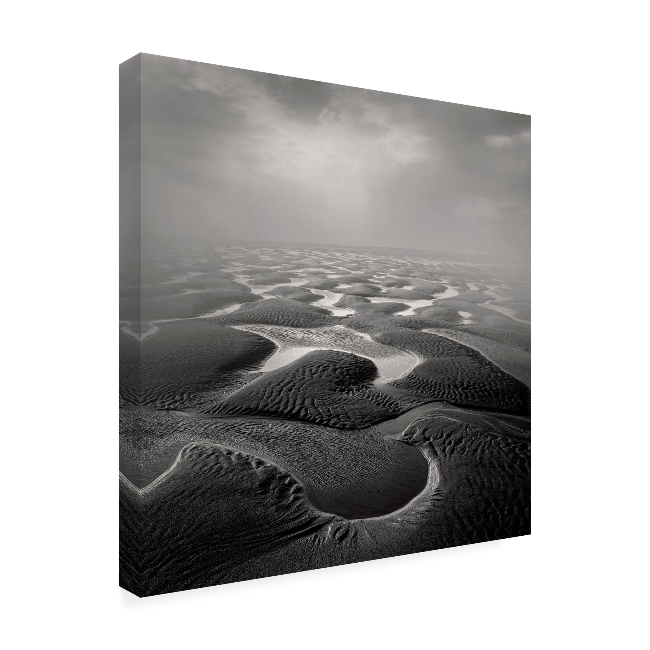 Trademark Fine Art Jean Luc BILLET  Sandwind Vent de Sable Canvas Wall Art