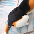 thumbnail image 1 of Pantalones sanitarios suaves ANGGREK para mascotas Colorido XL XXL, 1 of 8
