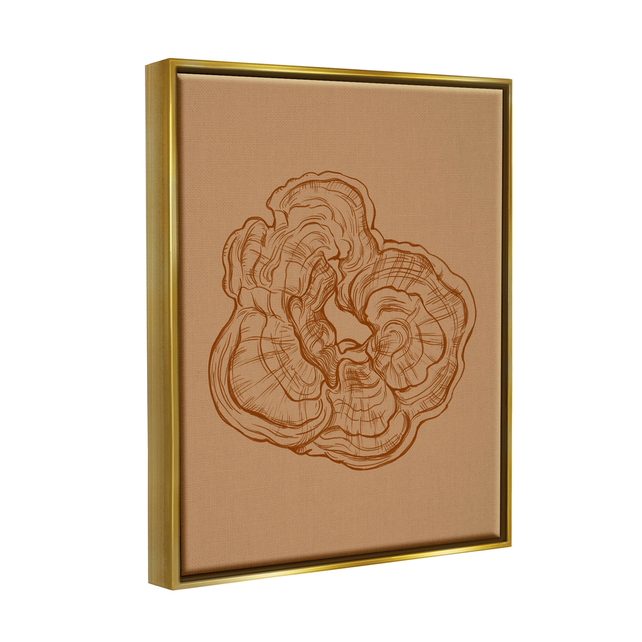 Stupell Industries Detailed Nature Botanical Fungus Graphic Art Metallic Gold Floating Framed Canvas Print Wall Art, Design by Ziwei Li