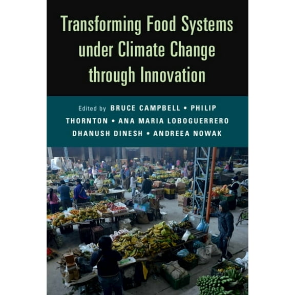 Transforming Food Systems Under Climate Change through Innovation, (Paperback)