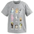 Bluey Bingo Little Boys TShirt Clothes Apparel & Mesh Shorts Outfit