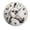FFclock058, variant on ZXCXRQFa White Horse Wall Clocks Battery Operated 10 Inch Silent Non-Ticking Quiet Desk Clock Decor for Living Room Home Office School Kitchen