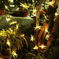 thumbnail image 4 of Dinheiro Luz solar de libélula para exteriores, 50 luces LED de libélula, luces decorativas para jardín y jardín, 4 of 5