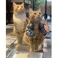 thumbnail image 5 of Halloween Cat Muscle Superhero Arms, 3D Printed Cat Muscle Arms Cosplay Accessory, Lightweight Neck Hanging Halloween Outfit, Ideal Photo Prop for Cats & Dog, Orange, 5 of 5