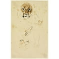 thumbnail image 2 of Eugène Delacroix 17x24 Black Ornate Framed Double Matted Museum Art Print Titled: Heads and Paws of Lions, 2 of 5
