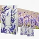 thumbnail image 4 of Sobres Perfumados, Bolsitas Aromáticas con Fragancias Florales, Bolsas Desodorizantes con Aromas de Larga Duración, 20x12x4.5cm para Armario, Coche, Clóset, Paquete de 4, 4 of 7