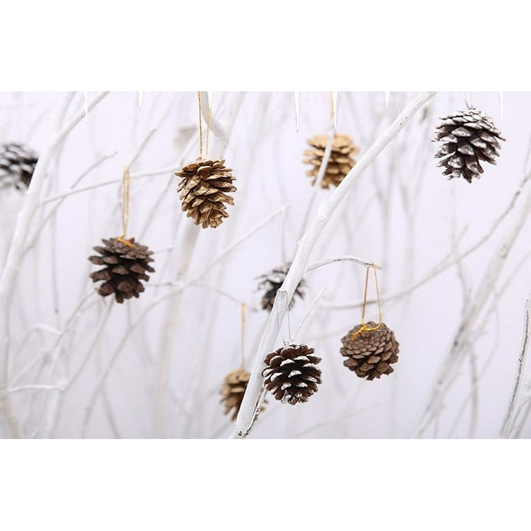 27Pcs Natural Pine Cones Silver Tipped Pine Cone Decor Ornaments for  Christmas Tree