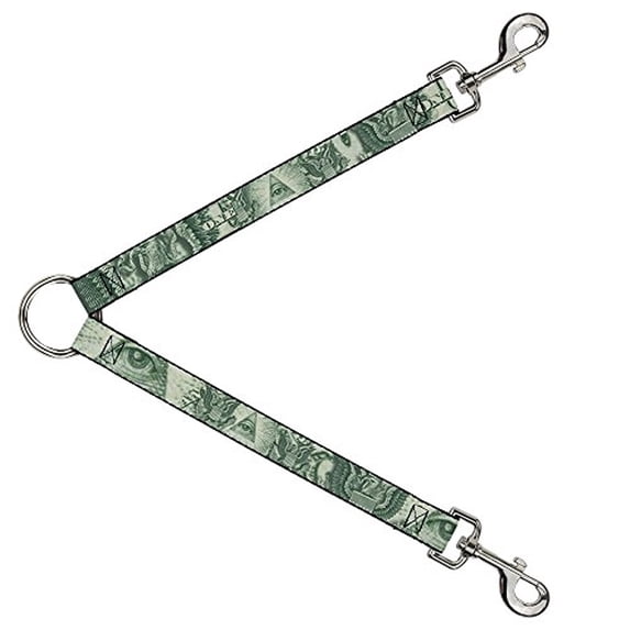 Buckle-Down Leash Splitter - One Dollar Bill Eye of Providence Bald Eagle C U - 1" Wide - 30" Length